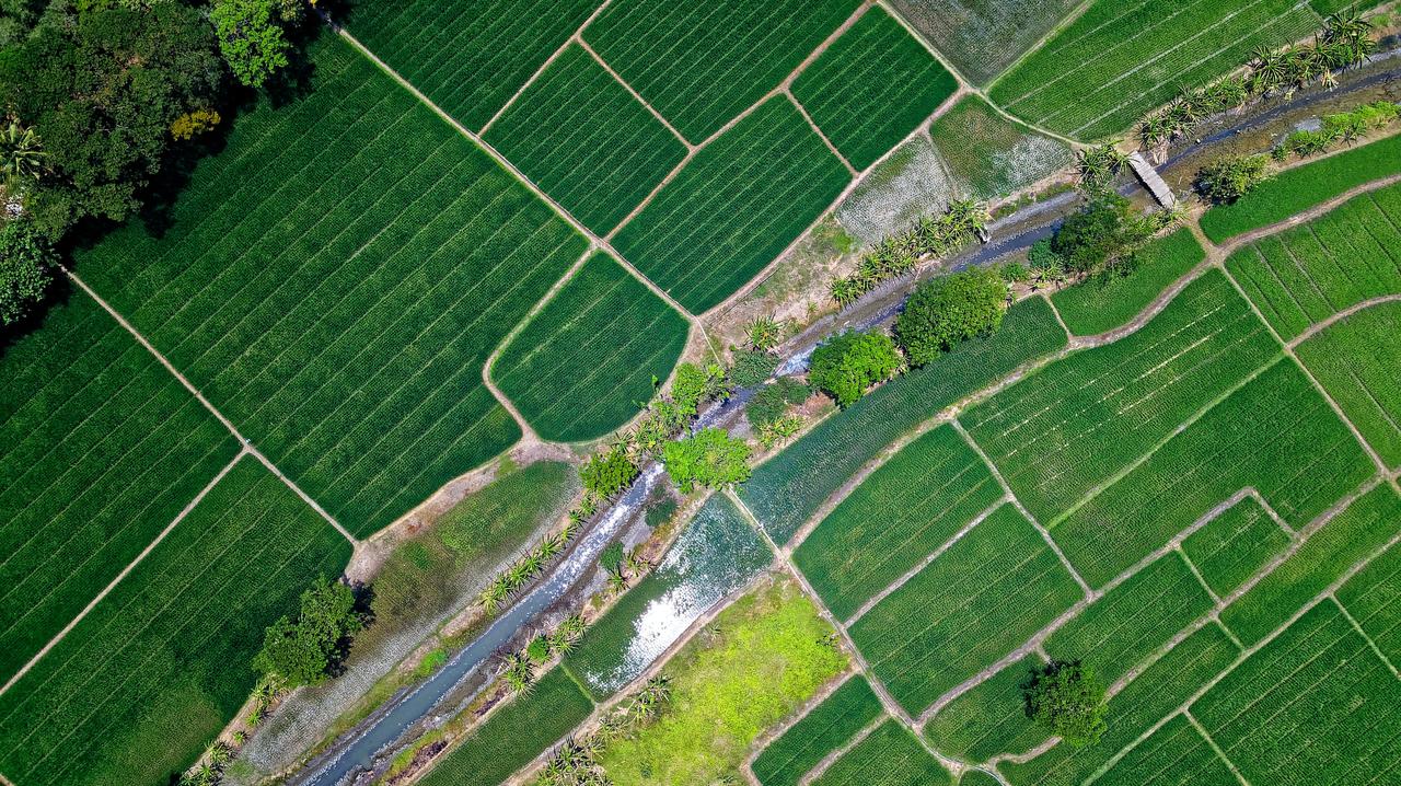 hedging crop risks with agricultural futures splash srcset fallback photo